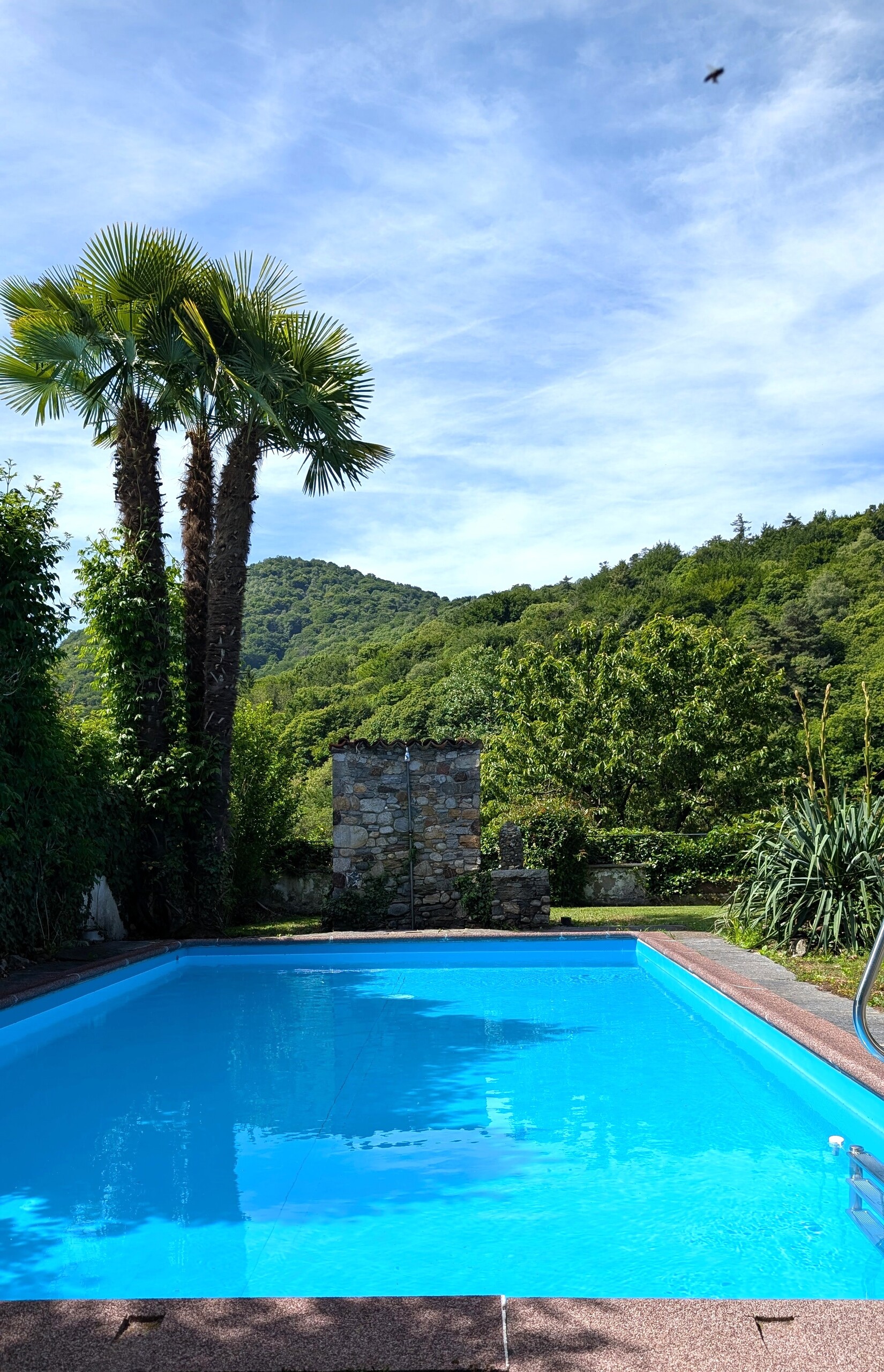 Pool frontal – Casa Carolina