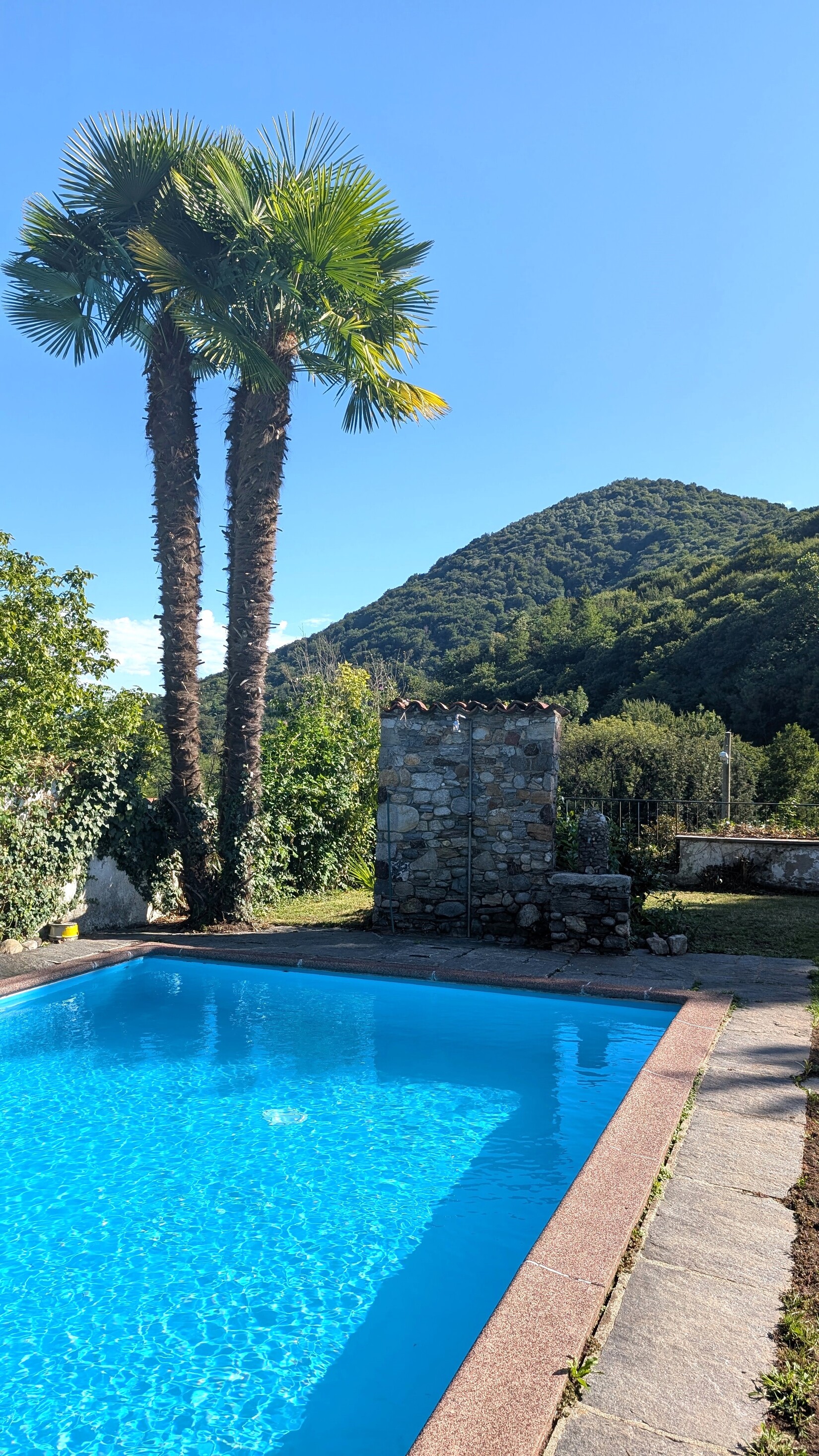Palmen am Pool – Casa Carolina